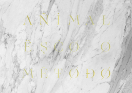  Parallel Processing, Brand Designer, Lisbon