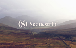 Parallel Processing, Brand Designer, Lisbon