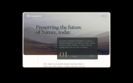 Parallel Processing, Brand Designer, Lisbon